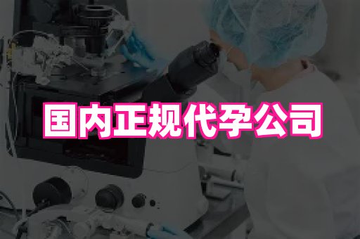 乐乐助孕网 2