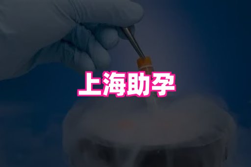乐乐助孕网 3