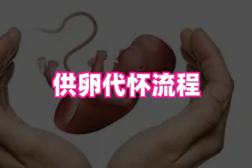 乐乐助孕网 4